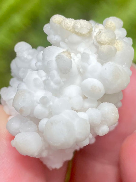 Fluorescent White Aragonite - Morganna’s Treasures 