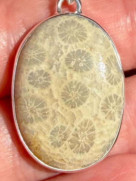Fossil Coral Pendant