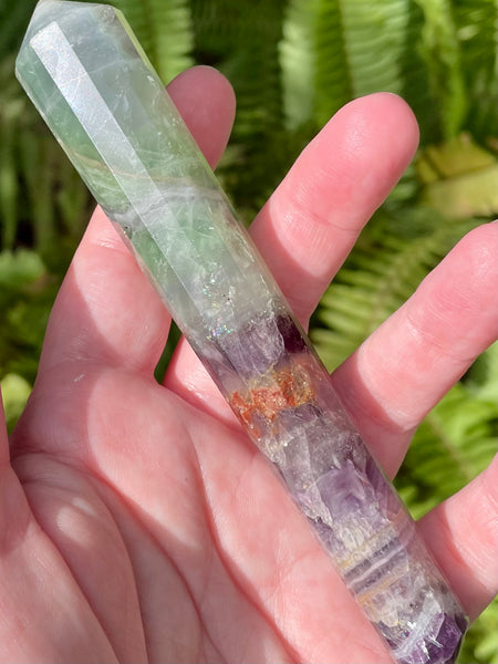Rainbow Fluorite Vogel - Morganna’s Treasures