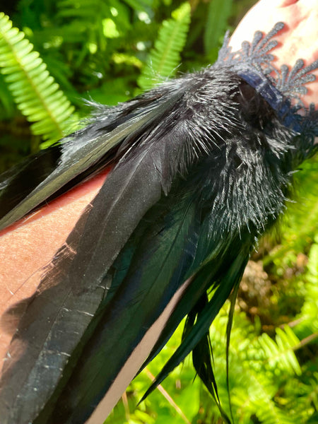 Black Feather Cuffs