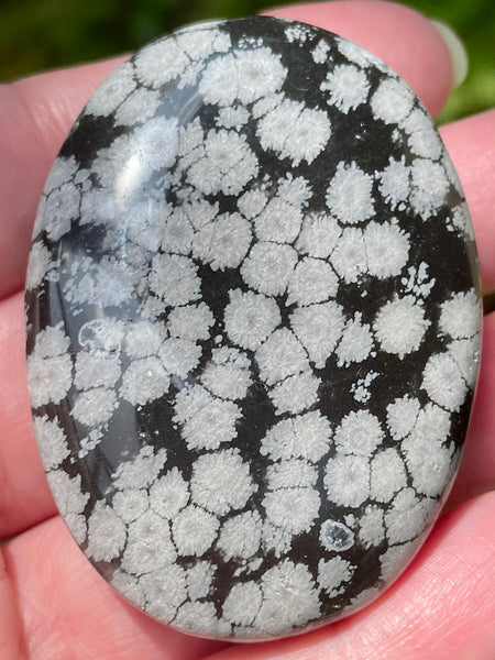 Snowflake Obsidian Palm Stone - Morganna’s Treasures