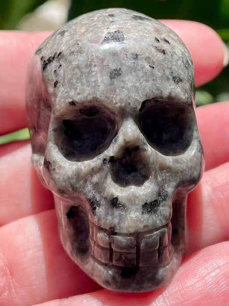 Carved Yooperlite (Fluorescent Sodalite)  Skull - Morganna’s Treasures 