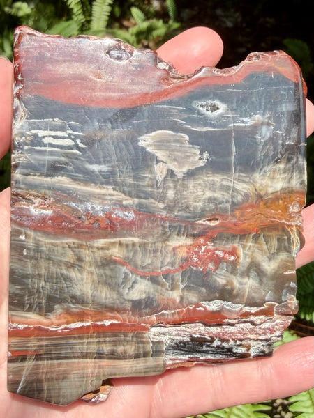 Gorgeous Cherry Creek Jasper Plate