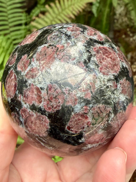 Large Garnet in Astrophyllite Sphere