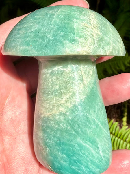 Stunning Amazonite Mushroom - Morganna’s Treasures