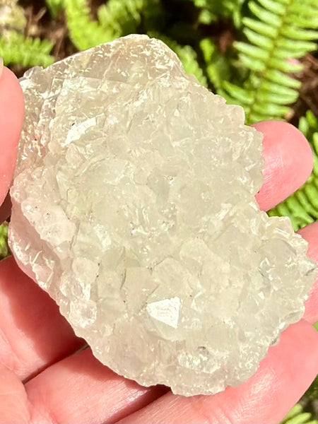 Apophyllite Cluster