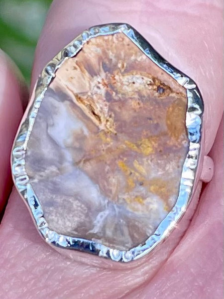 Rare Blue Forest Petrified Wood Ring Size 7 - Morganna’s Treasures