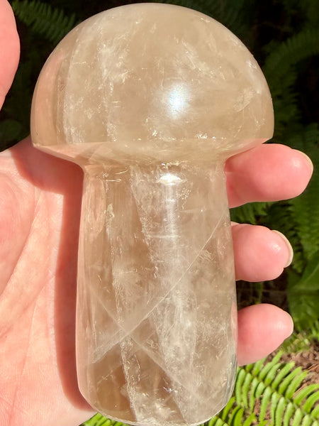 Gorgeous Smoky Quartz Mushroom - Morganna’s Treasures