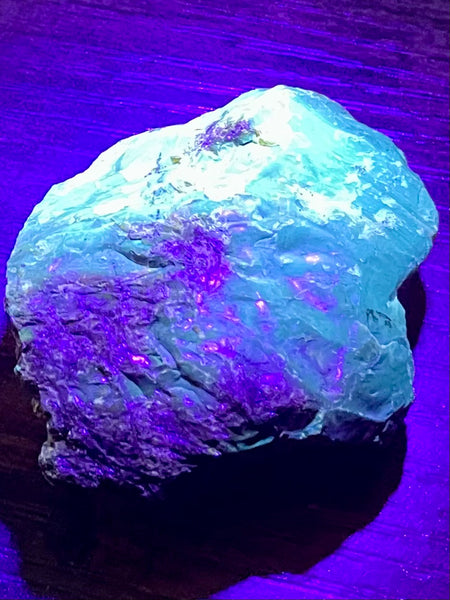 Fluorescent Blue Amber Palm Stone - Morganna’s Treasures 