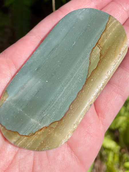 Succor Creek Picture Jasper Palm Stone - Morganna’s Treasures