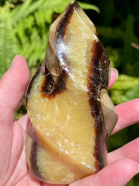 Septarian (Dragon's Stone) Flame - Morganna’s Treasures