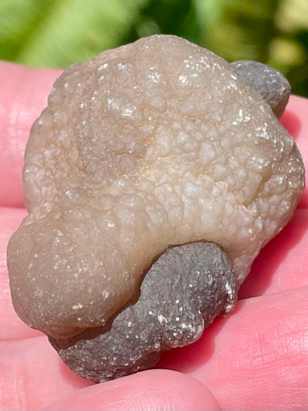 Botroyoidal Chalcedony Palm Stone - Morganna’s Treasures 