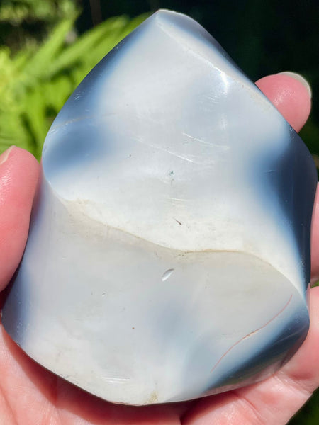 Orca Agate Flame - Morganna’s Treasures