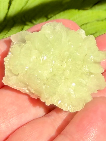 Prehnite Cluster