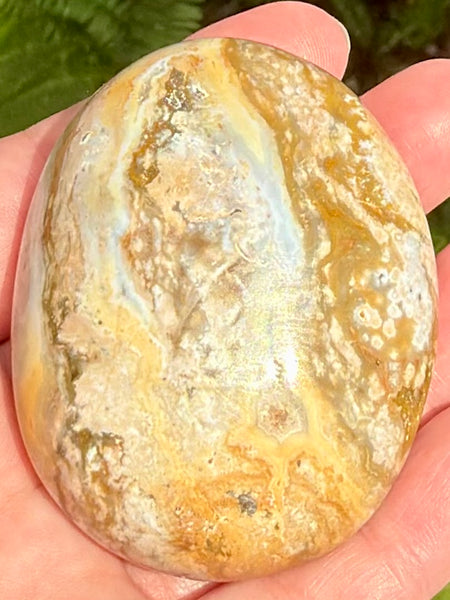 Ocean Jasper Palm Stone