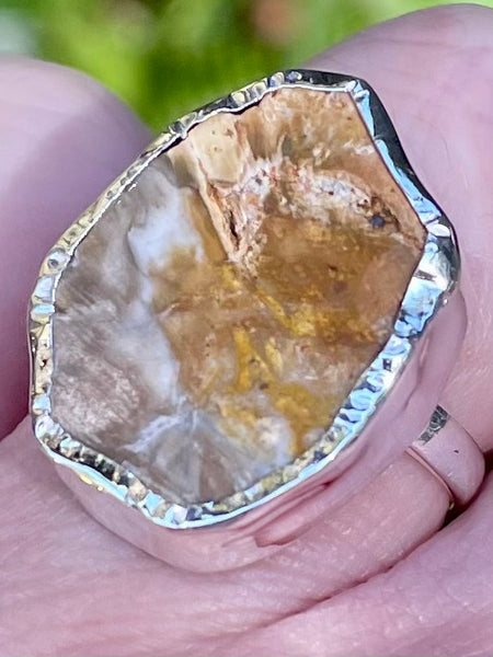 Rare Blue Forest Petrified Wood Ring Size 7 - Morganna’s Treasures