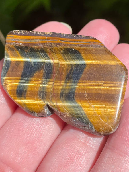 Gold Tigers Eye Palm Stone from Africa - Morganna’s Treasures
