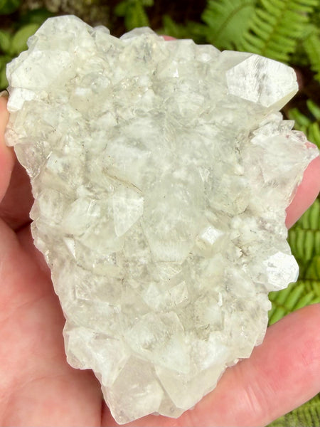 Apophyllite Cluster