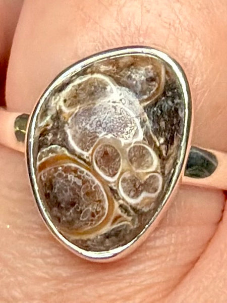 Turritella Agate Ring Size 8