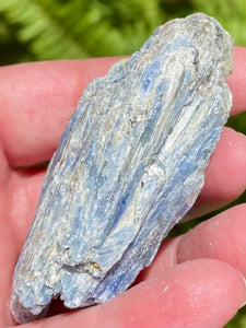 Rough Blue Kyanite - Morganna’s Treasures 