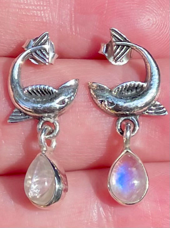 Dolphin Rainbow Moonstone Earrings - Morganna’s Treasures 