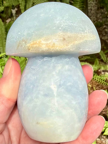 Blue Calcite Mushroom