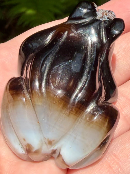 Botswana Agate Frog - Morganna’s Treasures