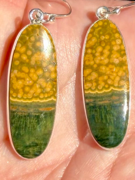 Ocean Jasper Earrings - Morganna’s Treasures