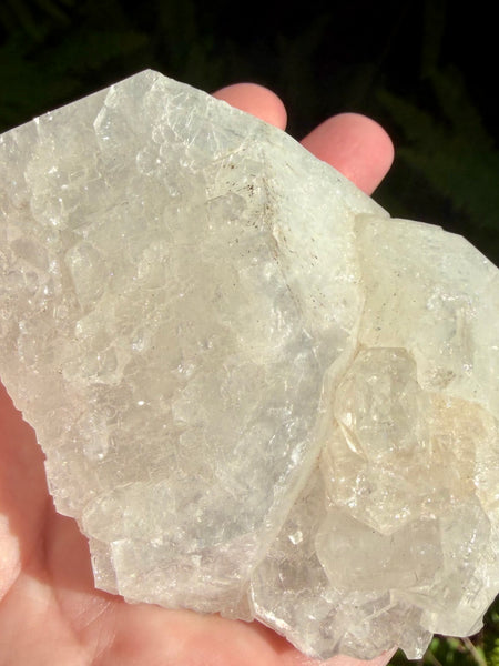 Large Apophyllite Cluster - Morganna’s Treasures