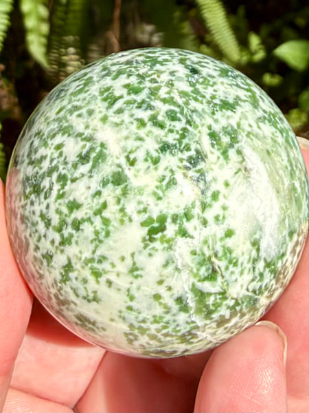 Tree Agate Sphere