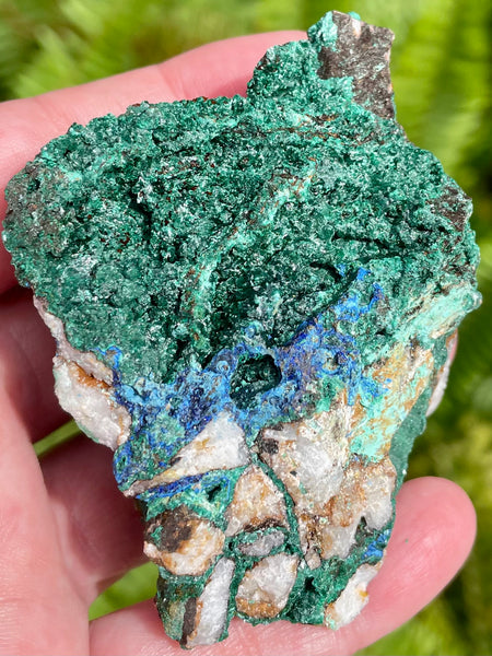 Azurite in Malachite from Morocco - Morganna’s Treasures 