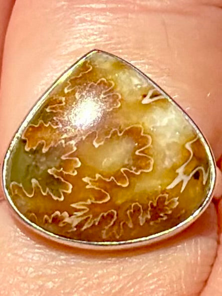 Beautiful Sutured Ammonite Ring Size 7