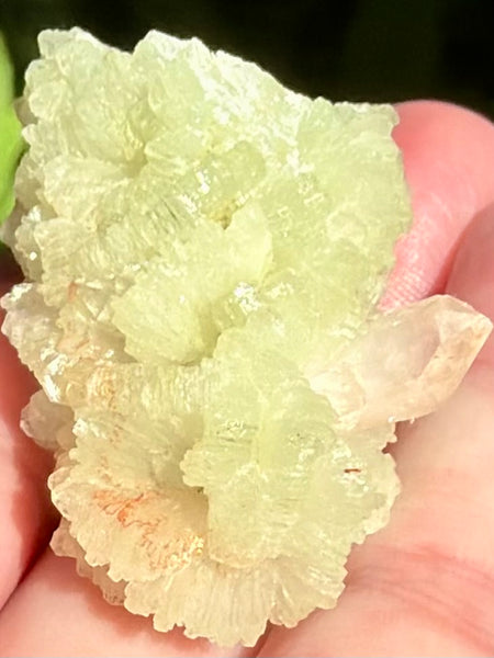 Prehnite Cluster