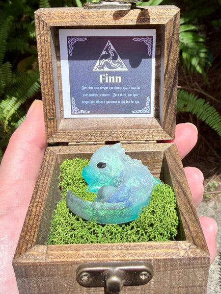 “Finn” Dragon Protector