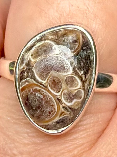Turritella Agate Ring Size 8