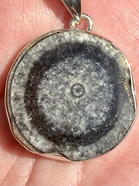 Black Horn Coral Pendant