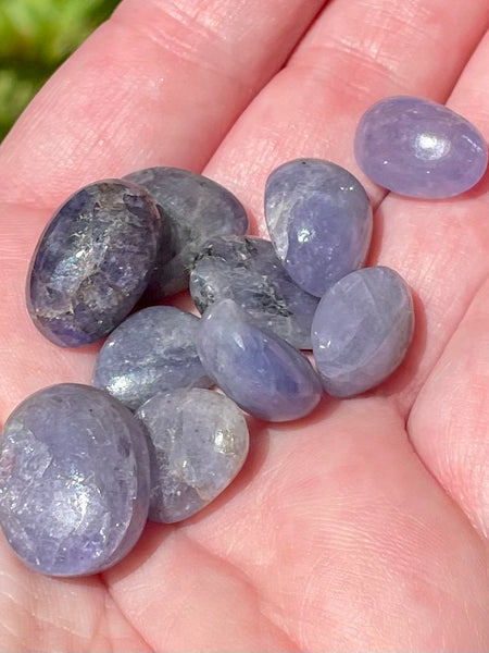 Tanzanite Tumbled Stones - Morganna’s Treasures