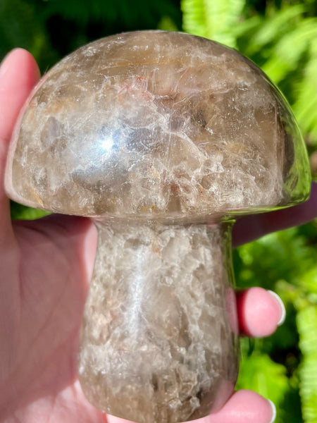 Beautiful Smoky Quartz Mushroom