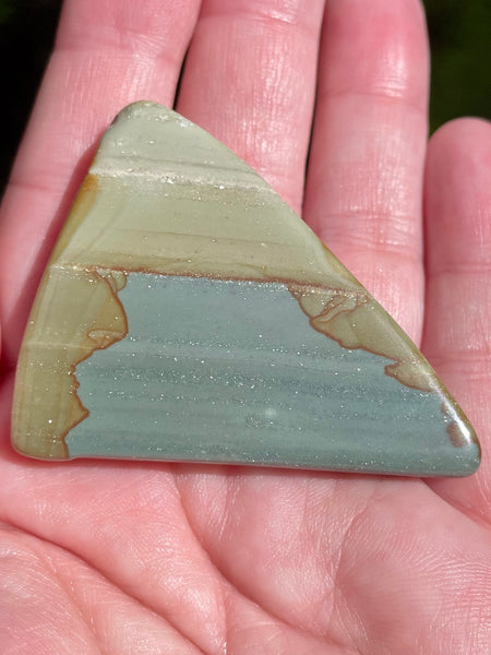 Succor Creek Picture Jasper Palm Stone - Morganna’s Treasures