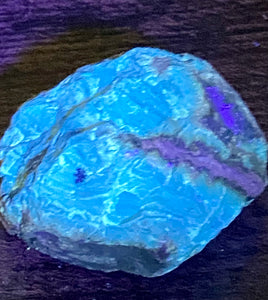 Fluorescent Blue Amber Palm Stone - Morganna’s Treasures 