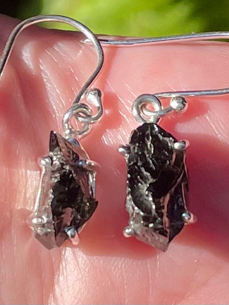 Rough Elite Russian Shungite Earrings - Morganna’s Treasures