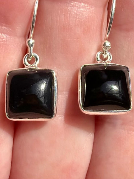 Black Onyx Earrings - Morganna’s Treasures