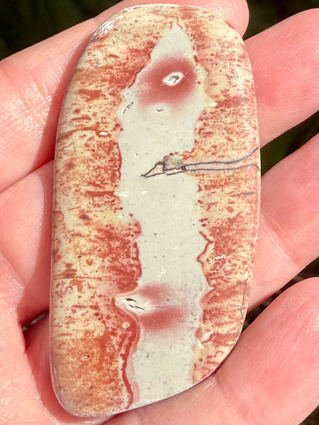 Rhyolite Palm Stone - Morganna’s Treasures