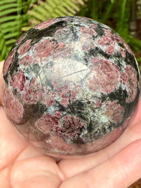 Large Garnet in Astrophyllite Sphere