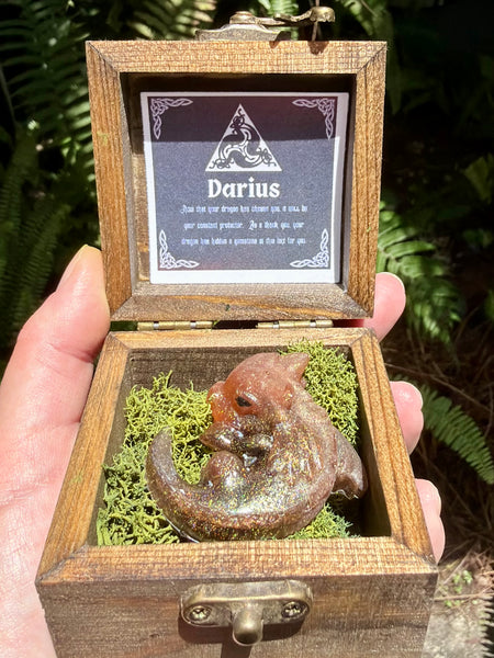 “Darius” Dragon Protector