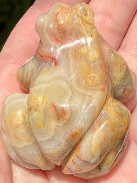 Crazy Lace Agate Frog - Morganna’s Treasures