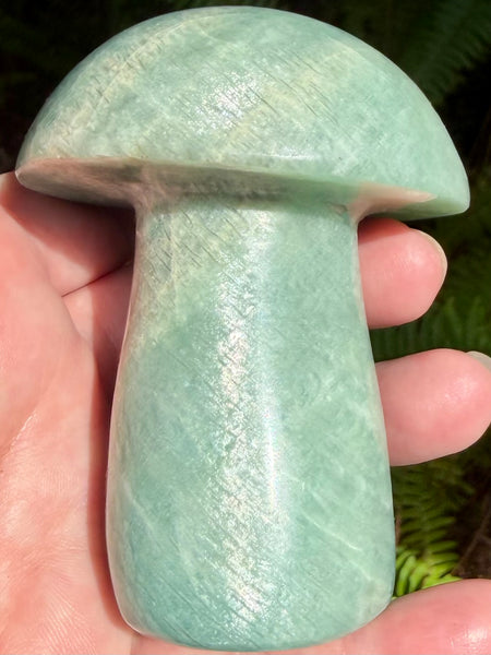 Stunning Amazonite Mushroom - Morganna’s Treasures