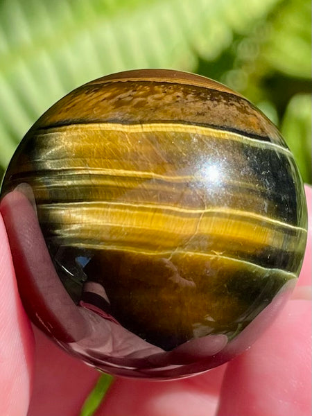 Tigers Eye Sphere - Morganna’s Treasures 