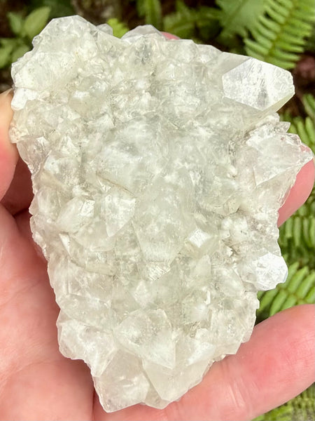 Apophyllite Cluster