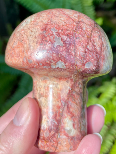 Beautiful Red Moonstone Mushroom - Morganna’s Treasures